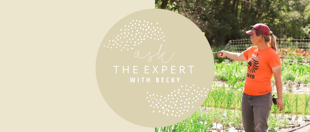 Ask the Expert with Head Gardener, Becky