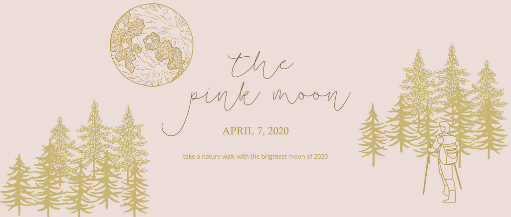 April 7th, 2020 - The Pink Moon
