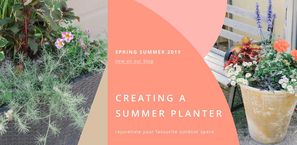 Creating a Summer Planter